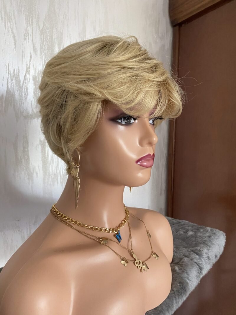 IMG_6011 شعر طبيعي روسي كثافة 180 اللون بلون سوندري